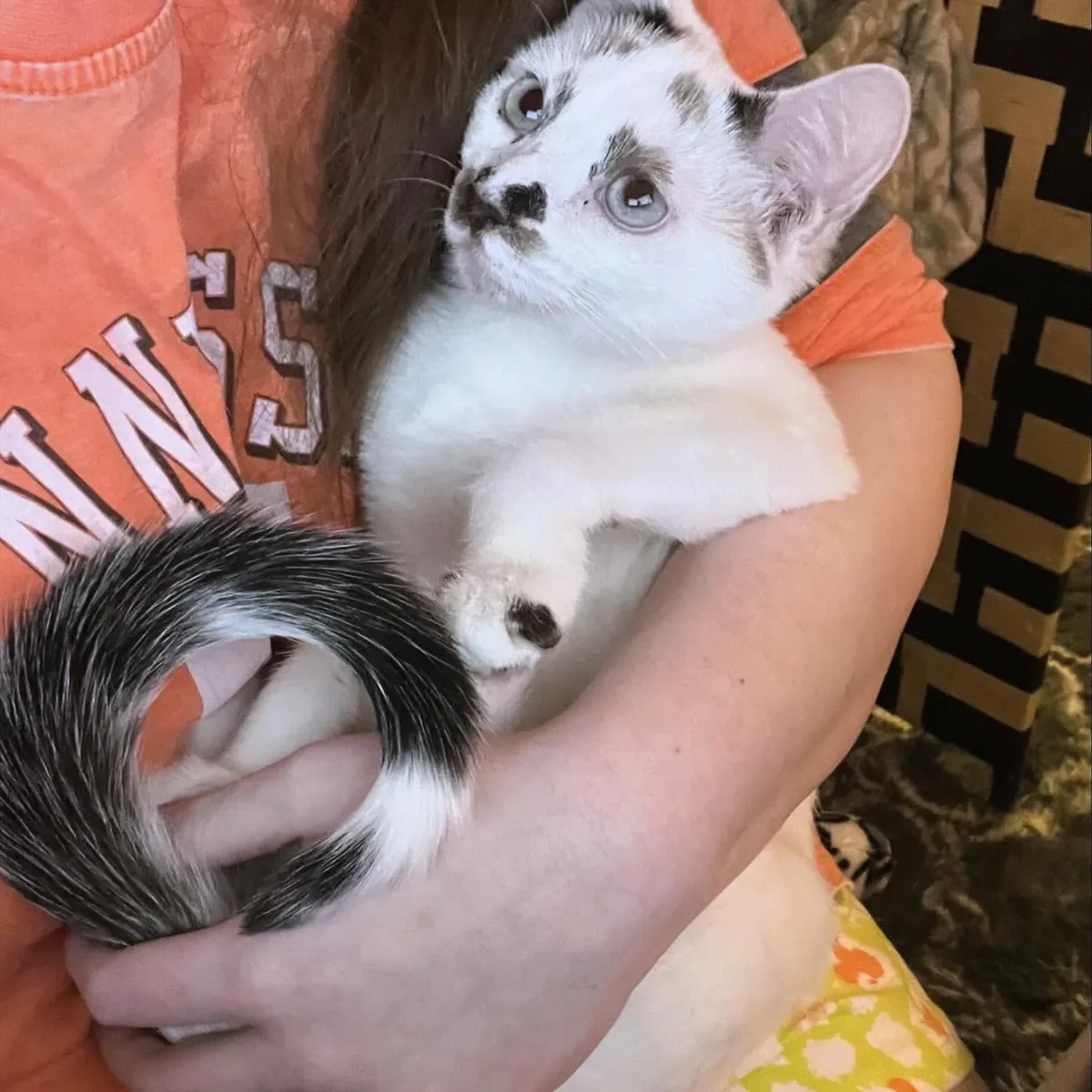 Kristin holding Spicy the cat